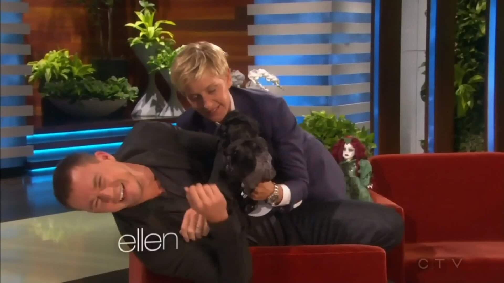The Ellen DeGeneres Show Videos | Watch the Ellen DeGeneres on CTV